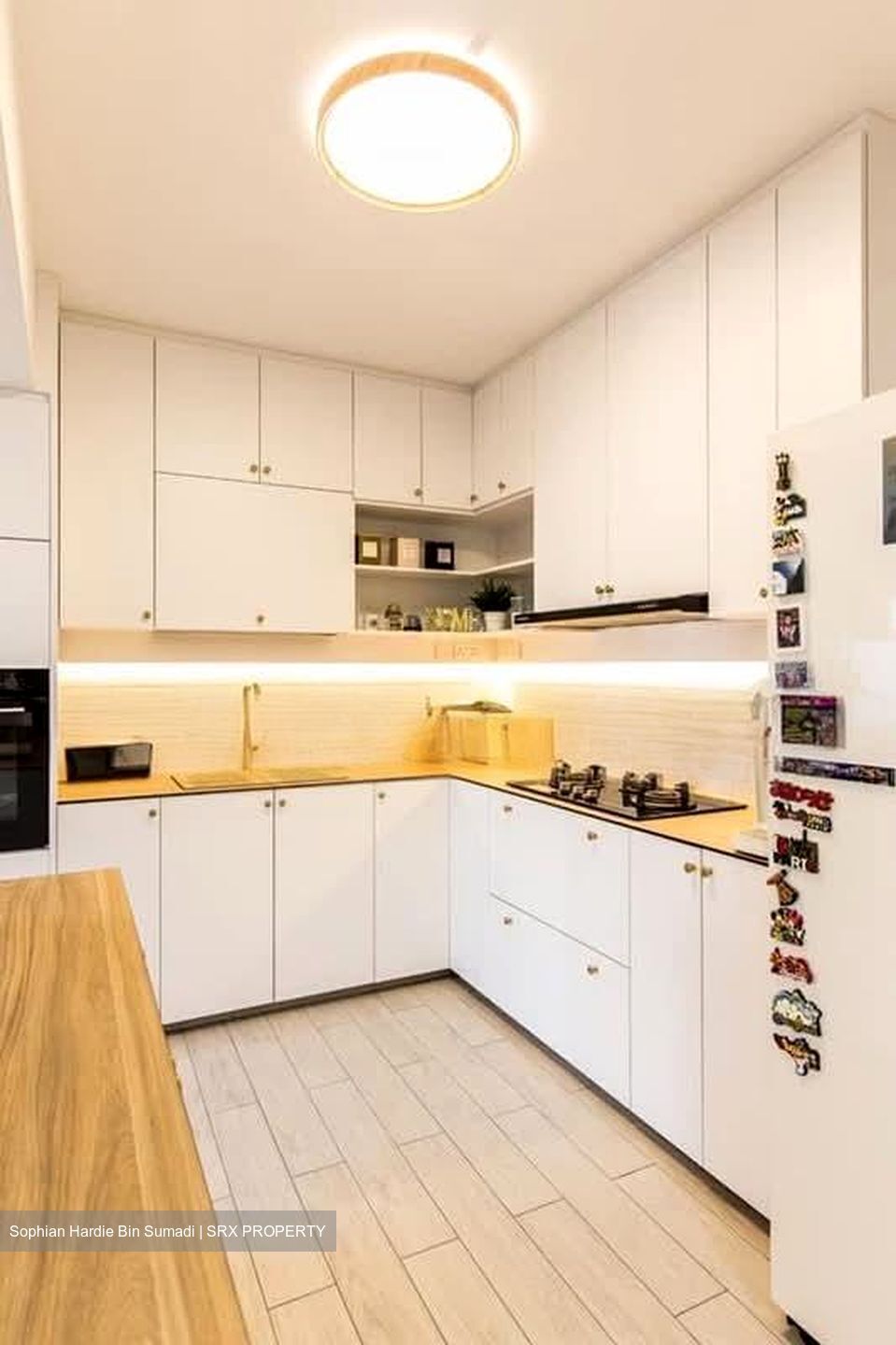 Blk 532 Pangshan Valley (Bukit Panjang), HDB Executive #552495651